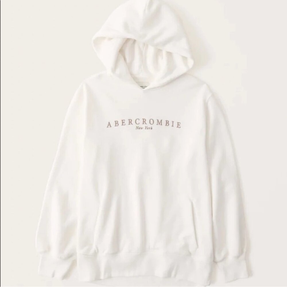 Abercrombie & Fitch Embroidered Logo Popover Hoodie (BNWT)